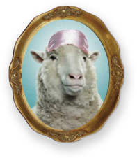 Retrato de uma ovelha